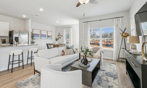 a living room with a couch and a rug